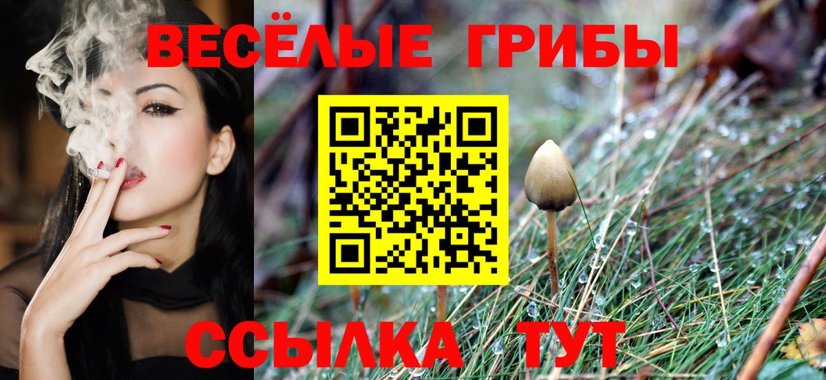 Экстази  Чебоксары  ГАШ  Марихуана  MDMA  Метамфетамин  МЕФ   Мефедрон  Вход с VPN 