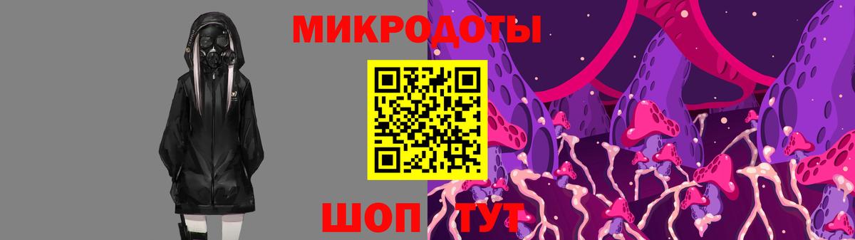 дарнет шоп  Галлюциногенные грибы мухоморы  Чебоксары  Вход с VPN  Галлюциногенные грибы Psilocybe 